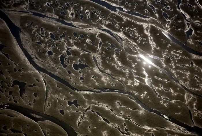 Framed Print : Aerial view of channels and pools left in sand at low tide, Hallig, Germany, April 2009 Framed Print : Aerial view of channels and pools left in sand at low tide, Hallig, Germany, April 2009