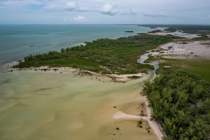 Framed Print : Aerial view of coastal wetland, a marine protected area habitat for Lemon sharks, Eleuthera, Bahamas, Caribbean Sea. June, 2023 Framed Print : Aerial view of coastal wetland, a marine protected area habitat for Lemon sharks, Eleuthera, Bahamas, Caribbean Sea. June, 2023
