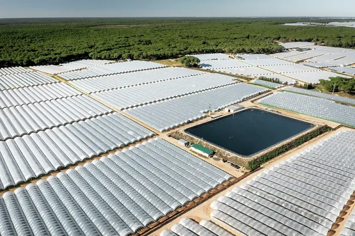 Framed Print : Aerial view of commercial strawberry farms and artificial pond stealing water from Donana wetlands. Andalusia, Spain. November, 2023 Framed Print : Aerial view of commercial strawberry farms and artificial pond stealing water from Donana wetlands. Andalusia, Spain. November, 2023