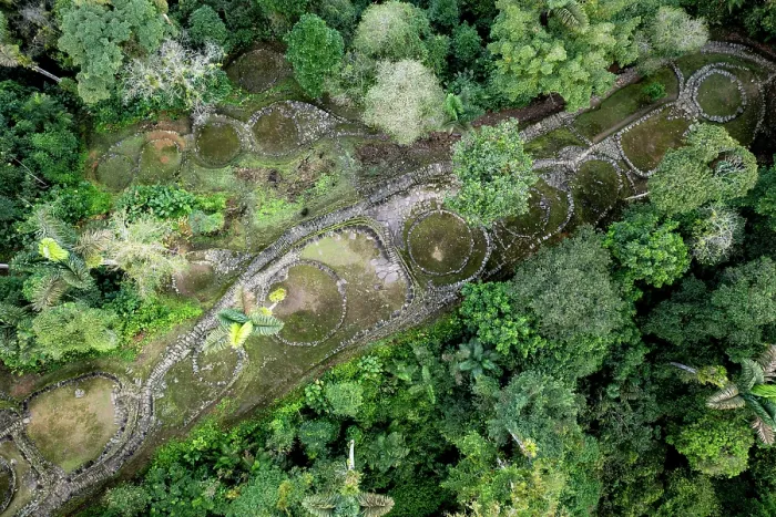 Framed Print : Aerial view of the core area of Ciudad Perdida, archaeological site of an ancient city, surrounded by rainforest, Sierra Nevada de Santa Marta, Colombia. December, 2021 Framed Print : Aerial view of the core area of Ciudad Perdida, archaeological site of an ancient city, surrounded by rainforest, Sierra Nevada de Santa Marta, Colombia. December, 2021