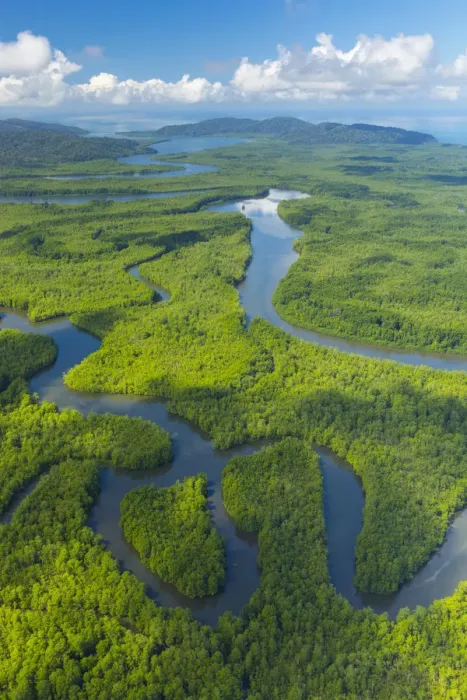 Framed Print : Aerial view of Delta Sierpe River Terraba, Corcovado National Park, Osa Peninsula Framed Print : Aerial view of Delta Sierpe River Terraba, Corcovado National Park, Osa Peninsula