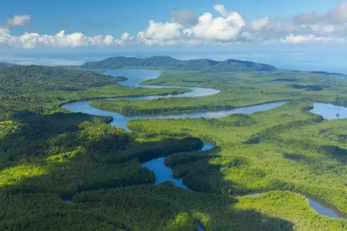 Framed Print : Aerial view of Delta Sierpe River Terraba, Corcovado National Park, Osa Peninsula Framed Print : Aerial view of Delta Sierpe River Terraba, Corcovado National Park, Osa Peninsula