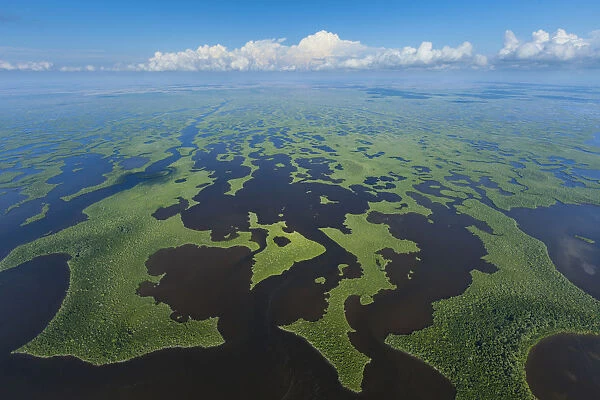 Aerial view of Everglades National Park, Florida, USA, February 2012