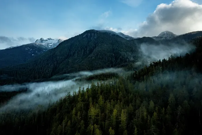 Framed Print : Aerial view of forest and mountains with fog rolling through, Vancouver Island, British Columbia, Canada. February, 2023 Framed Print : Aerial view of forest and mountains with fog rolling through, Vancouver Island, British Columbia, Canada. February, 2023