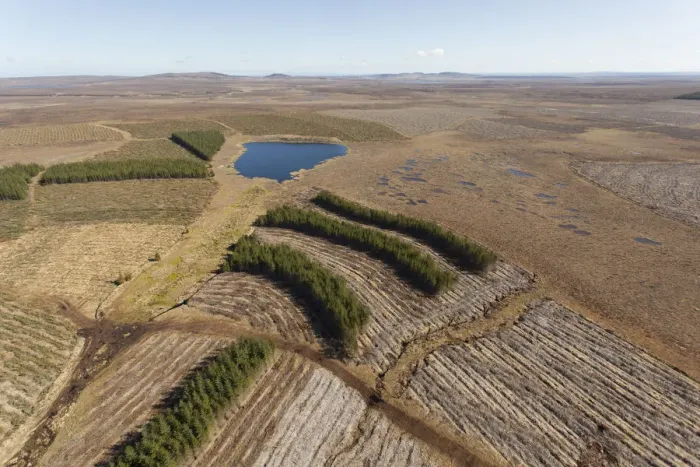 Framed Print : Aerial view of Forsinard Flows blanket bog, with conifer plantations, Forsinard, Caithness Framed Print : Aerial view of Forsinard Flows blanket bog, with conifer plantations, Forsinard, Caithness