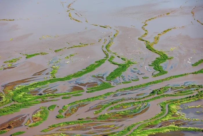 Framed Print : Aerial view of freshwater estuary entering the lake after heavy rains, Lake Magadi, Kenya. February, 2024 Framed Print : Aerial view of freshwater estuary entering the lake after heavy rains, Lake Magadi, Kenya. February, 2024