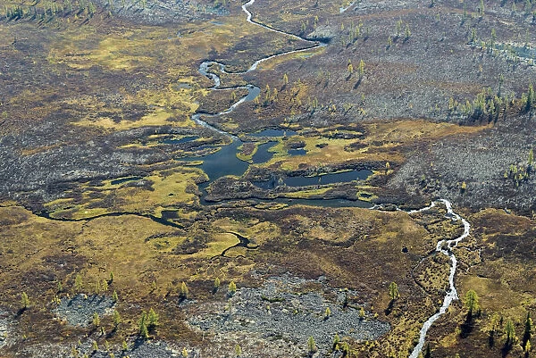 Aerial view of headwaters of the Lena River. Siberia, Russia. August 2018