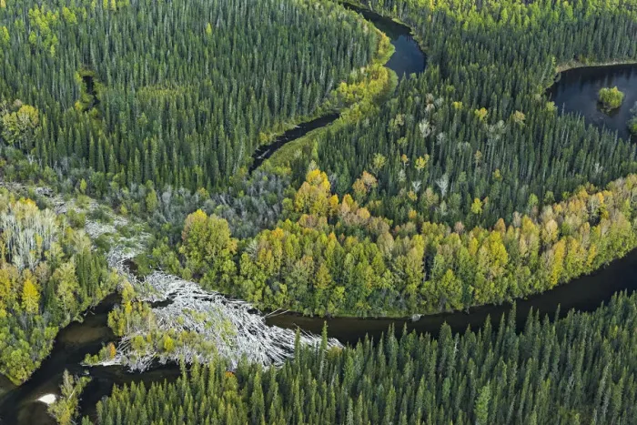 Framed Print : Aerial view of headwaters of the Lena River, Siberia, Russia. August 2018 Framed Print : Aerial view of headwaters of the Lena River, Siberia, Russia. August 2018