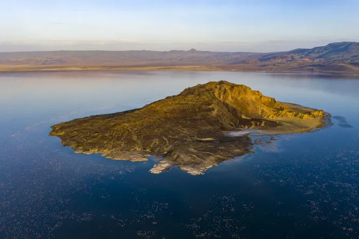 Framed Print : Aerial view of island and Lesser flamingo (Phoeniconaias minor) in lake Logipi