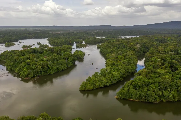 Framed Print : Aerial view of the Iwokrama Rainforest, one of the last remaining pristine rainforests on the planet, central Guyana, South America. March, 2020 Framed Print : Aerial view of the Iwokrama Rainforest, one of the last remaining pristine rainforests on the planet, central Guyana, South America. March, 2020