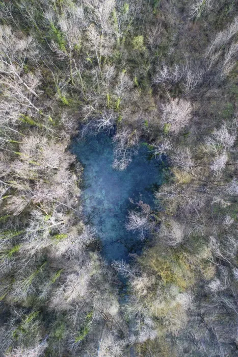 Framed Print : Aerial view of a Karst spring, Marais de Lavours Reserve, Ain, Alps, France, November Framed Print : Aerial view of a Karst spring, Marais de Lavours Reserve, Ain, Alps, France, November
