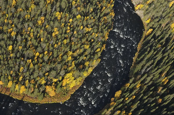 Aerial view of Kitkajoki River, Oulanka National Park, Finland, September 2008