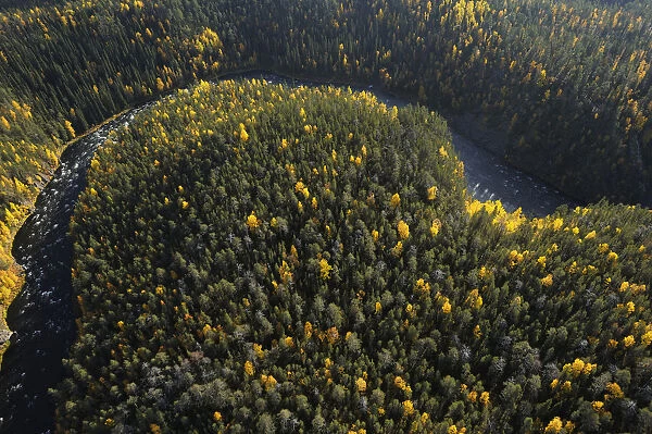 Aerial view of Kitkajoki River, Oulanka National Park, Finland, September 2008
