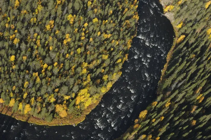 Framed Print : Aerial view of Kitkajoki River, Oulanka National Park, Finland, September 2008 Framed Print : Aerial view of Kitkajoki River, Oulanka National Park, Finland, September 2008