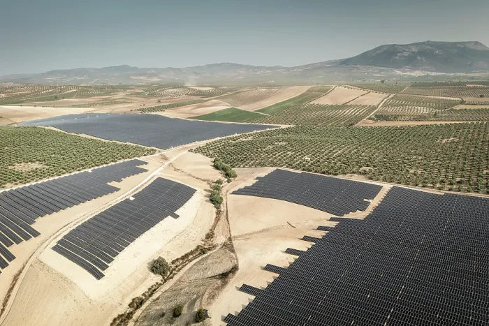 Framed Print : Aerial view of large solar power farm among intensive olive groves, Granada district, southern Spain. June, 2023 Framed Print : Aerial view of large solar power farm among intensive olive groves, Granada district, southern Spain. June, 2023