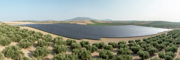 Framed Print : Aerial view of large solar power farm among intensive olive groves, Granada district, southern Spain. June, 2023 Framed Print : Aerial view of large solar power farm among intensive olive groves, Granada district, southern Spain. June, 2023
