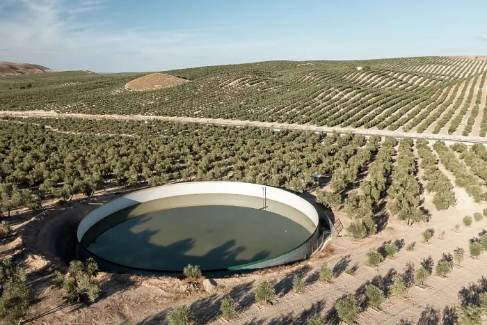 Framed Print : Aerial view of large water tank within intensive olive tree plantations, Jaen district, southern Spain. October, 2022 Framed Print : Aerial view of large water tank within intensive olive tree plantations, Jaen district, southern Spain. October, 2022