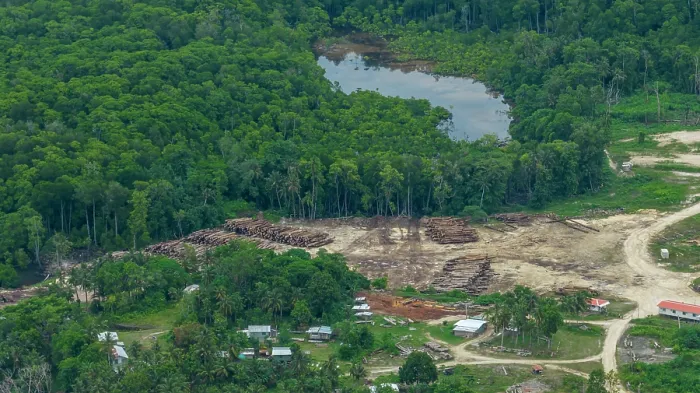 Framed Print : Aerial view of a logging base on Mussau Island, Murat LLG, Bismarck Archipelago, New Ireland Province, Papua New Guinea. November, 2023 Framed Print : Aerial view of a logging base on Mussau Island, Murat LLG, Bismarck Archipelago, New Ireland Province, Papua New Guinea. November, 2023