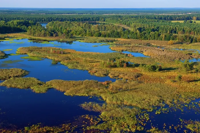 Framed Print : Aerial view of man-made ponds surrounded by extensive stretches of reedbeds and forest, Lusatia, Saxony, Germany. September, 2010 Framed Print : Aerial view of man-made ponds surrounded by extensive stretches of reedbeds and forest, Lusatia, Saxony, Germany. September, 2010