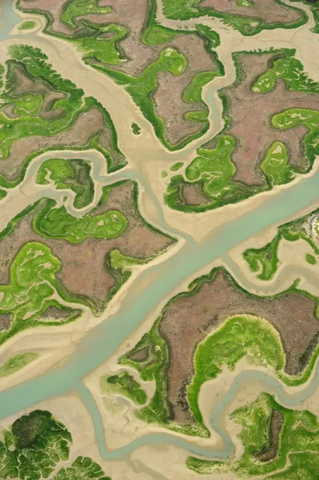 Framed Print : Aerial view of marshes at low tide, Baha de Cdiz Natural Park, Cdiz, Andalusia, Spain Framed Print : Aerial view of marshes at low tide, Baha de Cdiz Natural Park, Cdiz, Andalusia, Spain