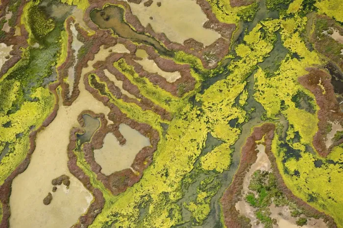 Framed Print : Aerial view of marshes at low tide, Baha de Cdiz Natural Park, Cdiz, Andalusia, Spain Framed Print : Aerial view of marshes at low tide, Baha de Cdiz Natural Park, Cdiz, Andalusia, Spain