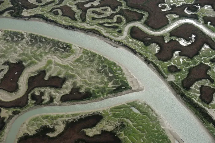 Framed Print : Aerial view of marshes with Seaweed exposed at low tide, Baha de Cdiz Natural Park