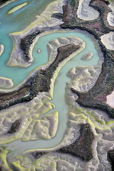 Aerial view of marshes with Seaweed exposed at low tide, Baha de Cdiz Natural Park