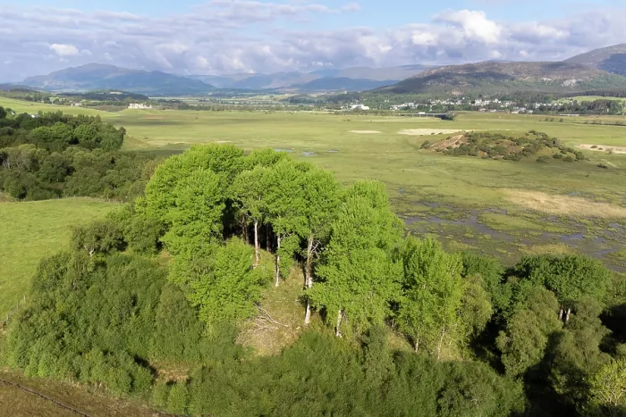 Framed Print : Aerial view of mature Aspen (Populus tremula) trees in early spring, Insh Marshes, Cairngorms National Park, Scotland, UK. June