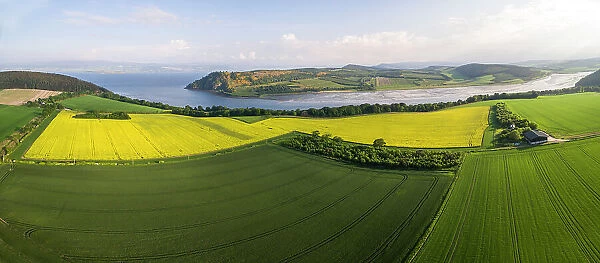 Aerial view of mixed agricultural land, farm buildings and coastline, Black Isle, Highlands, Scotland, UK. June, 2018