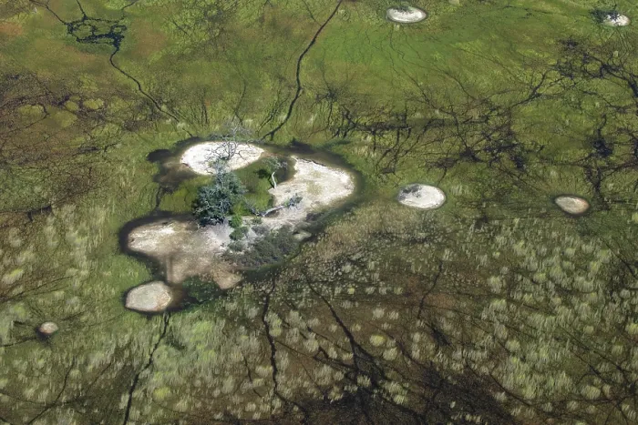 Framed Print : Aerial view of the Okavango Delta, Botswana. May, 2024 Framed Print : Aerial view of the Okavango Delta, Botswana. May, 2024
