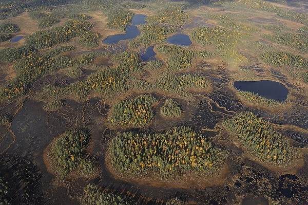Aerial view of Peat bog, Oulanka National Park, Finland, September 2008