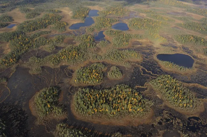 Framed Print : Aerial view of Peat bog, Oulanka National Park, Finland, September 2008 Framed Print : Aerial view of Peat bog, Oulanka National Park, Finland, September 2008