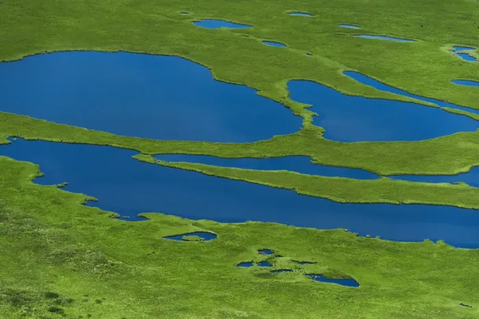 Framed Print : Aerial view of Pechora River Delta, Nenets Autonomous Okrug, Arctic, Russia, July 2017 Framed Print : Aerial view of Pechora River Delta, Nenets Autonomous Okrug, Arctic, Russia, July 2017