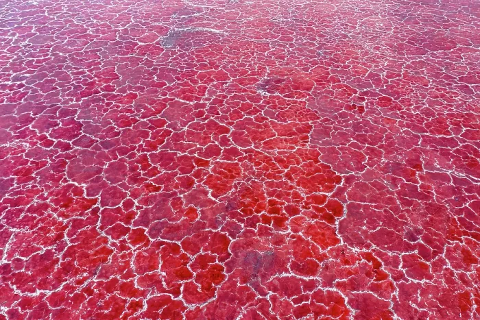 Framed Print : Aerial view of pink, soda encrusted Lake Magadi, Rift Valley, Kenya. September, 2023 Framed Print : Aerial view of pink, soda encrusted Lake Magadi, Rift Valley, Kenya. September, 2023
