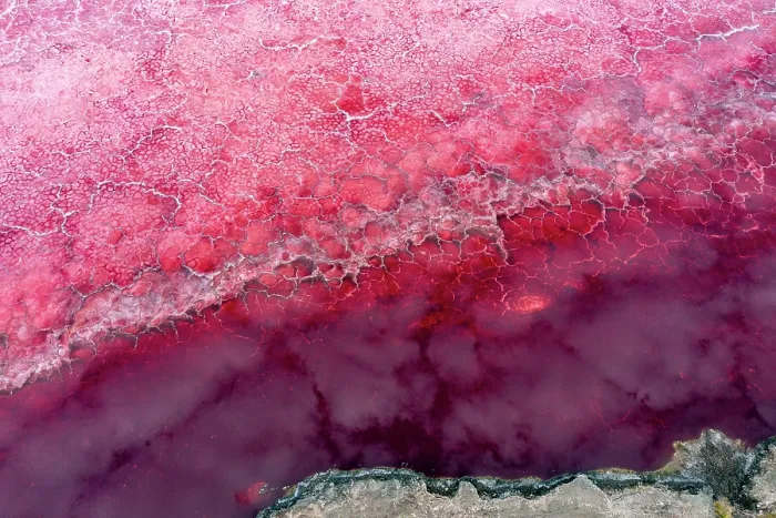 Framed Print : Aerial view of pink, soda encrusted Lake Magadi, Rift Valley, Kenya. September, 2023 Framed Print : Aerial view of pink, soda encrusted Lake Magadi, Rift Valley, Kenya. September, 2023