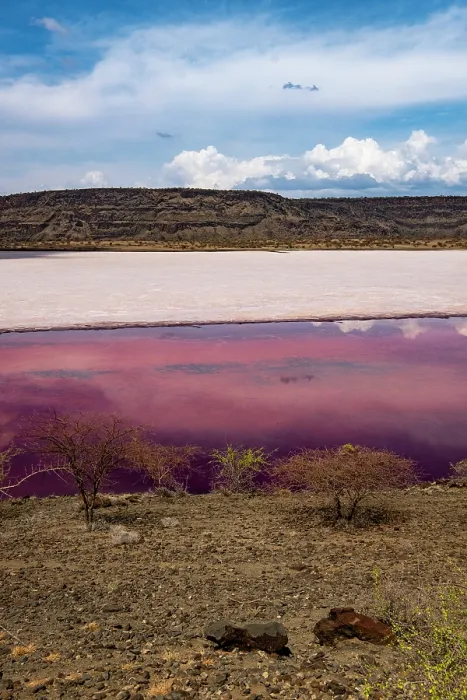 Framed Print : Aerial view of red soda on Lake Magadi, Rift Valley, Kenya. March, 2023 Framed Print : Aerial view of red soda on Lake Magadi, Rift Valley, Kenya. March, 2023