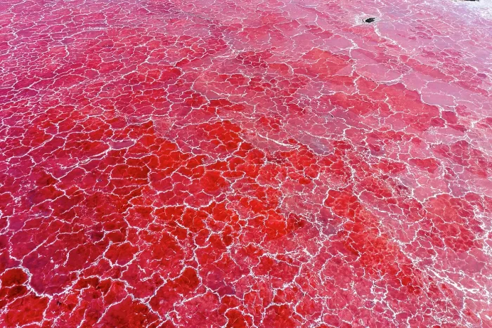 Framed Print : Aerial view of red soda on surface of Lake Magadi, Rift Valley, Kenya. September, 2023 Framed Print : Aerial view of red soda on surface of Lake Magadi, Rift Valley, Kenya. September, 2023
