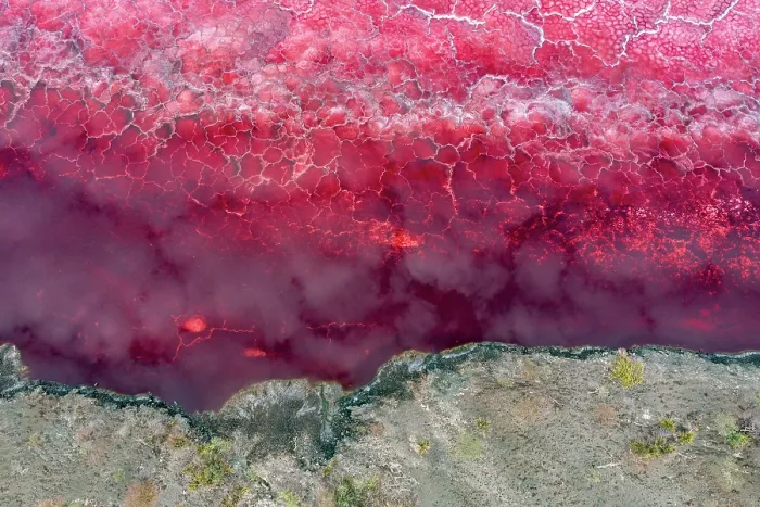 Framed Print : Aerial view of red soda on surface of Lake Magadi, Rift Valley, Kenya. September, 2023 Framed Print : Aerial view of red soda on surface of Lake Magadi, Rift Valley, Kenya. September, 2023