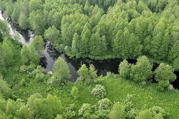 Aerial view of river, Kemeri National Park, Latvia, June 2009