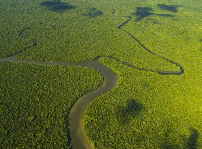 Framed Print : Aerial view of the River Kinabatangan and riverine tropical rainforest, Sabah, Malaysia Framed Print : Aerial view of the River Kinabatangan and riverine tropical rainforest, Sabah, Malaysia