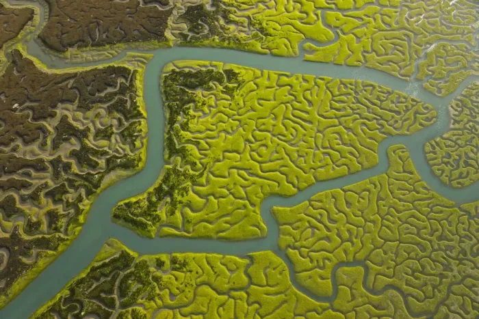 Framed Print : Aerial view of the rivers and saltmarshes of the Bahia / Bay de Cadiz Natural Park Framed Print : Aerial view of the rivers and saltmarshes of the Bahia / Bay de Cadiz Natural Park