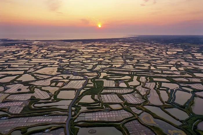 Framed Print : Aerial view of salt marshes at sunset, Guerande, Loire-Atlantique, France. June, 2023 Framed Print : Aerial view of salt marshes at sunset, Guerande, Loire-Atlantique, France. June, 2023