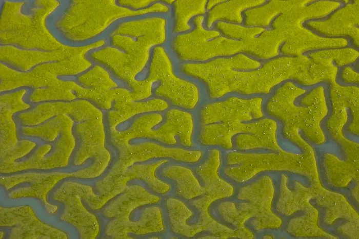 Framed Print : Aerial view saltmarshes of Bahia de Cadiz Natural Park, Huelva, Andalucia, Spain Framed Print : Aerial view saltmarshes of Bahia de Cadiz Natural Park, Huelva, Andalucia, Spain