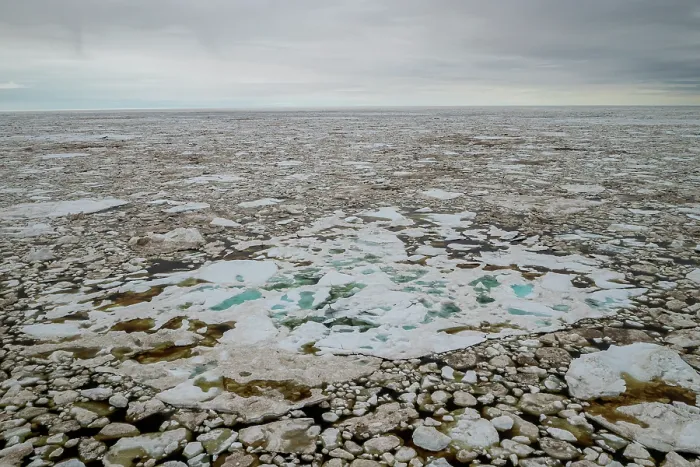 Framed Print : Aerial view of sea ice breaking up and melting in spring, Hudson Bay near Churchill, Manitoba, Canada. June, 2024 Framed Print : Aerial view of sea ice breaking up and melting in spring, Hudson Bay near Churchill, Manitoba, Canada. June, 2024