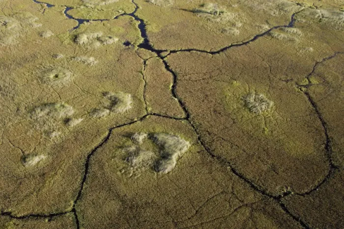 Framed Print : Aerial View showing Hippopotamus trails in the swamps of the Okavango Delta Framed Print : Aerial View showing Hippopotamus trails in the swamps of the Okavango Delta