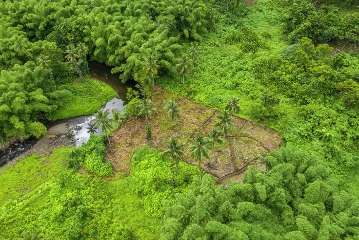 Framed Print : Aerial view of a small farm plot ready for planting near a small stream in the interior of Ovalau Island. Lomaiviti Group, Fiji. December, 2019 Framed Print : Aerial view of a small farm plot ready for planting near a small stream in the interior of Ovalau Island. Lomaiviti Group, Fiji. December, 2019