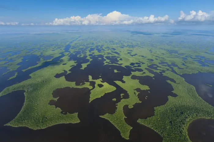 Framed Print : Aerial view over subtropical mangrove wetlands of the Everglades National Park. Florida Framed Print : Aerial view over subtropical mangrove wetlands of the Everglades National Park. Florida