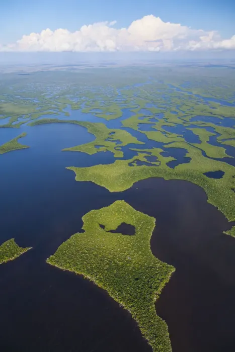 Framed Print : Aerial view over subtropical mangrove wetlands of the Everglades National Park. Florida Framed Print : Aerial view over subtropical mangrove wetlands of the Everglades National Park. Florida