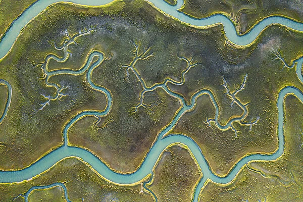 Aerial view of tidal channels in marshland. Mockhorn Island State Wildlife Management
