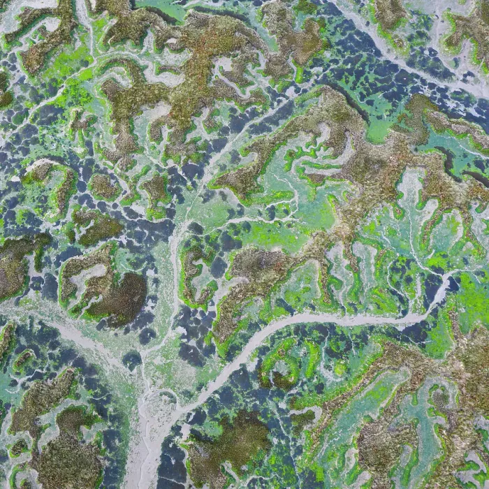 Framed Print : Aerial view of tidal marshland at low tide, Marismas de Santona, Victoria y Joyel Natural Park, Cantabria, Spain. January, 2021 Framed Print : Aerial view of tidal marshland at low tide, Marismas de Santona, Victoria y Joyel Natural Park, Cantabria, Spain. January, 2021
